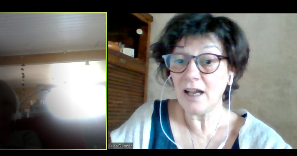 Luce Dupont, psycho-praticienne en relation d'aide, en cours de consultation en visio